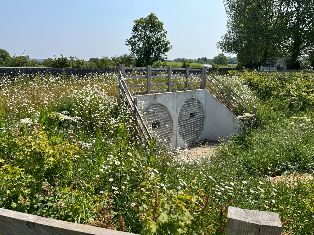 Hopes for another section of Strawberry Line route Wells Voice